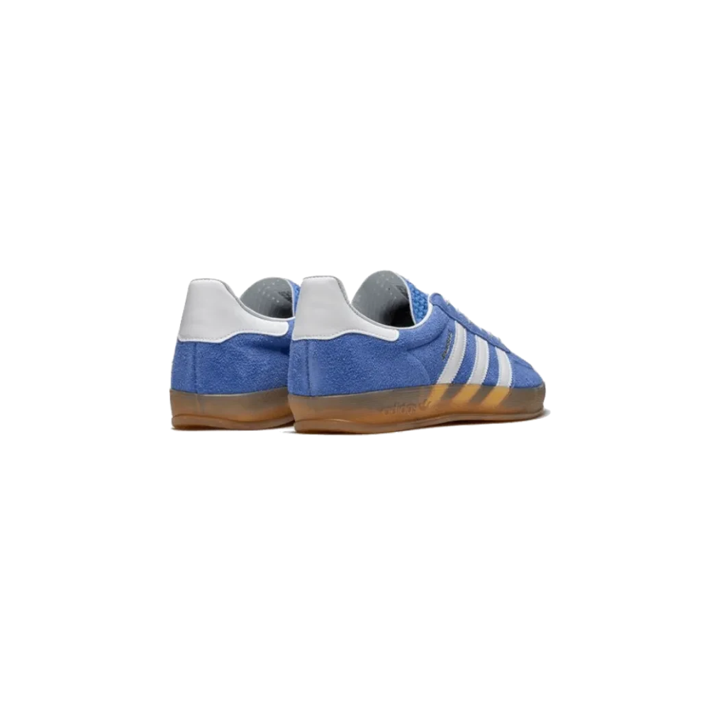 Adidas gazelle Indoor Bleu Fusion